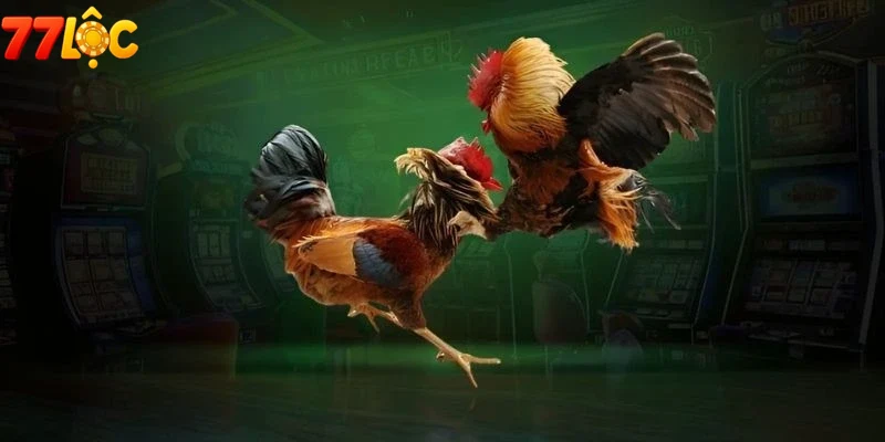 Người chơi trải nghiệm không khí sôi động trên Game đá gà 77loc